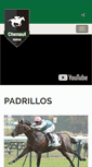 Mobile Screenshot of chenaut.com